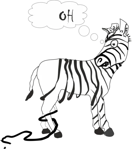 zebra zebra was seine streifen verliert